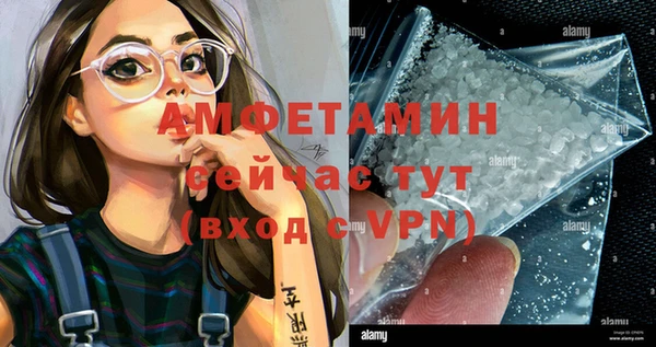 спиды Новодвинск