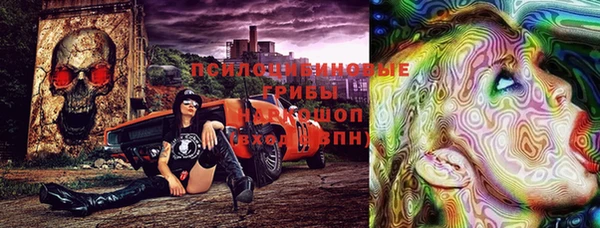 Альфа ПВП Новозыбков