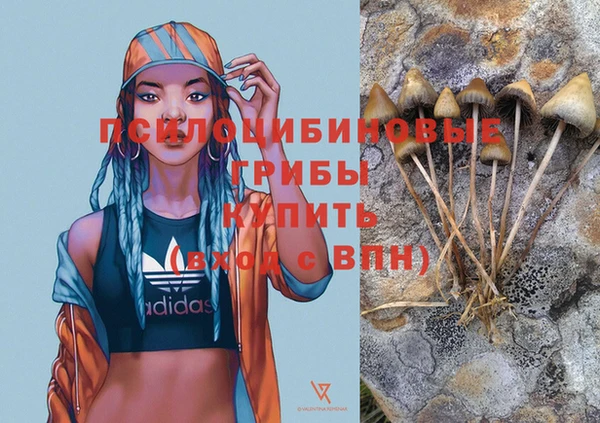 меф Новокубанск