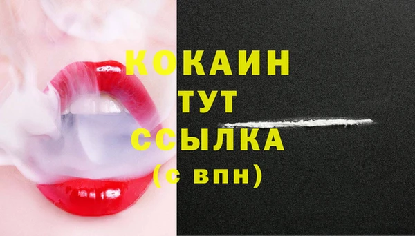 спиды Новодвинск