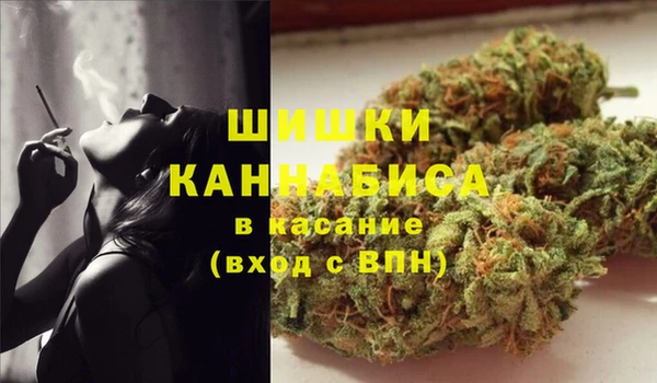 Альфа ПВП Новозыбков