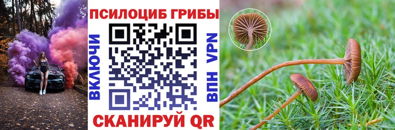 Галлюциногенные грибы Psilocybine cubensis Руза